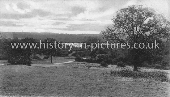 Connaught Water across the Forest from Buckhurst Hill, Essex. c.1906.